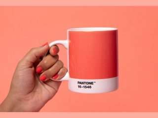 Living Coral สีใหม่แห่งปี 2019 จาก Pantone
