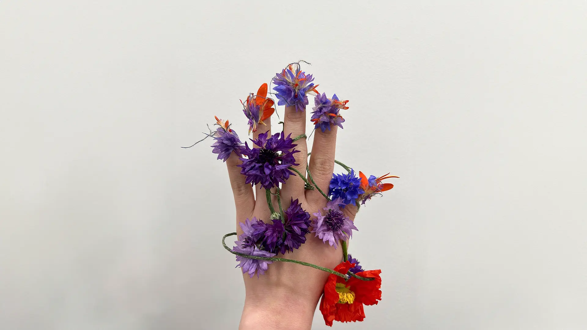 ศิลปะแห่งดอกไม้ที่เล็บ: การสร้างสรรค์ที่แปลกใหม่จาก LALUNE - Portjolio