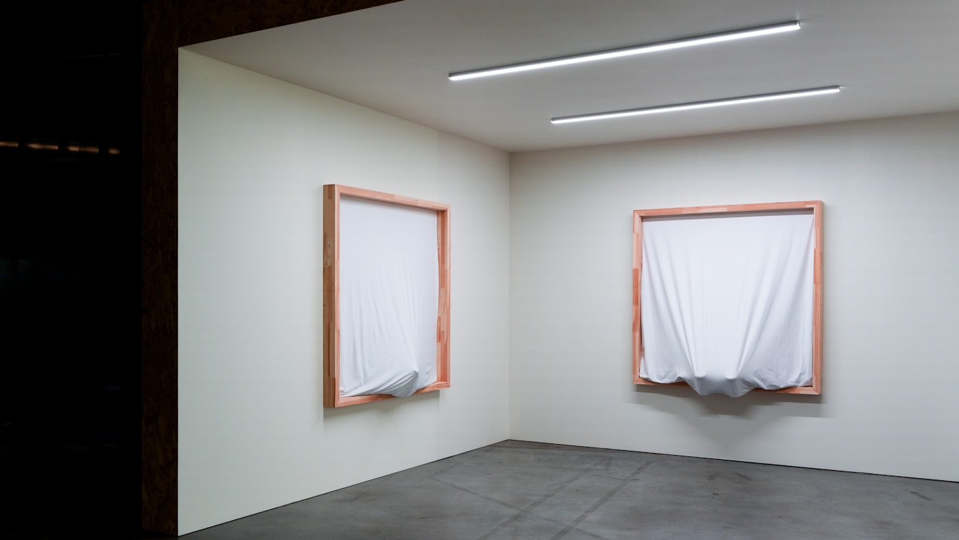 Art exhibition viewing experience