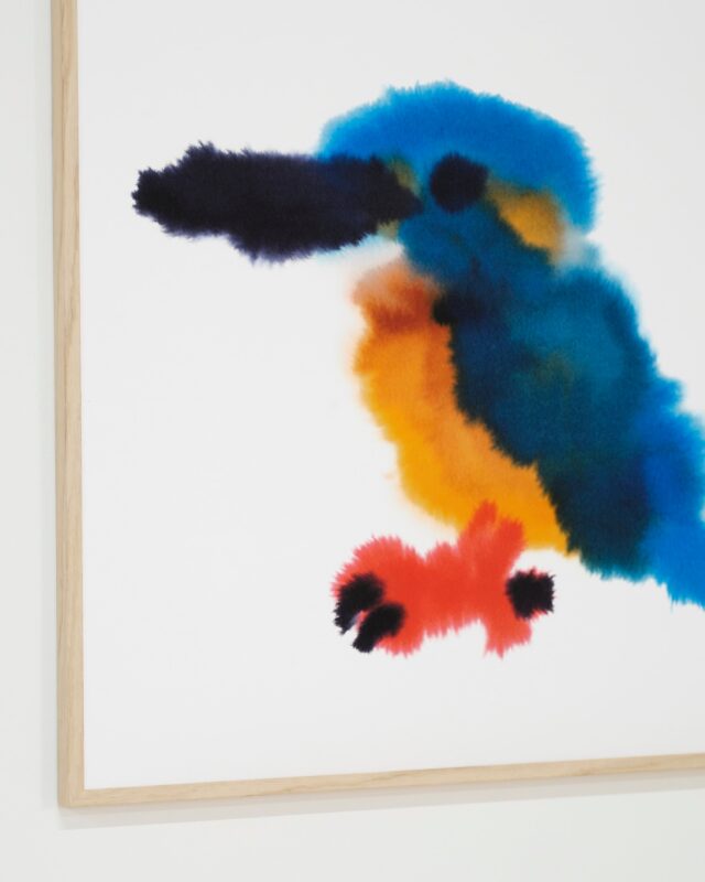 Kingfisher Print Detail — Rop van Mierlo / Wild Animals