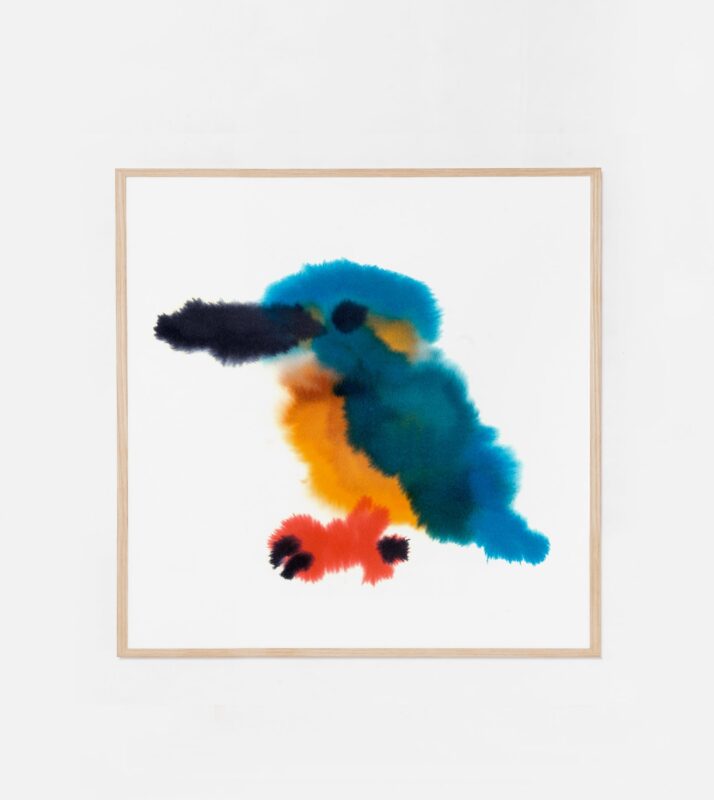 Kingfisher — Rop van Mierlo / Wild Animals