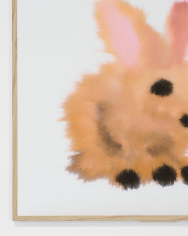 Rabbit Print Detail — Rop van Mierlo / Wild Animals