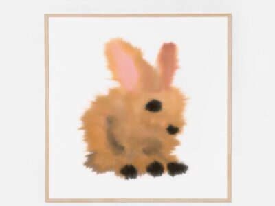 Rabbit — Rop van Mierlo / Wild Animals