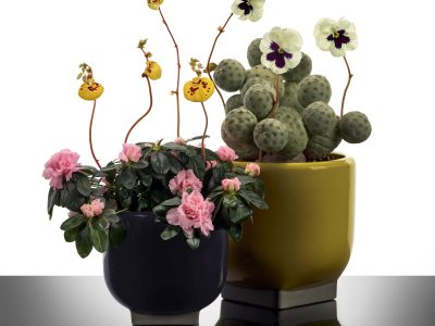 Rosamar collection by Kris Van Assche for Serax - ceramic flowerpots