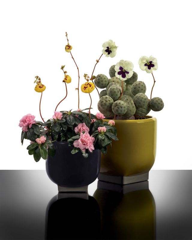 Rosamar collection by Kris Van Assche for Serax - ceramic flowerpots