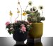 Rosamar collection by Kris Van Assche for Serax - ceramic flowerpots