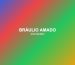 Bráulio Amado — Artist Spotlight