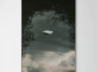 Gideon Tsang, Because We Fall series, 2026