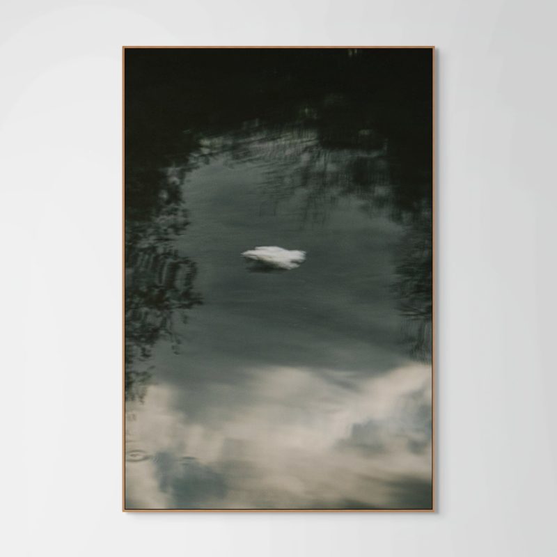 Gideon Tsang, Because We Fall series, 2026