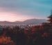 ถนนในเกียวโต ประเทศญี่ปุ่น — Photo by Jezael Melgoza on Unsplash