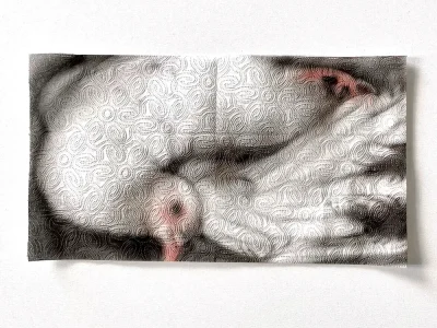 ผลงาน Freedom Disposable ของ Helena Minginowicz ภาพวาดบนกระดาษทิชชูที่มีลายนูนจากโรงงาน