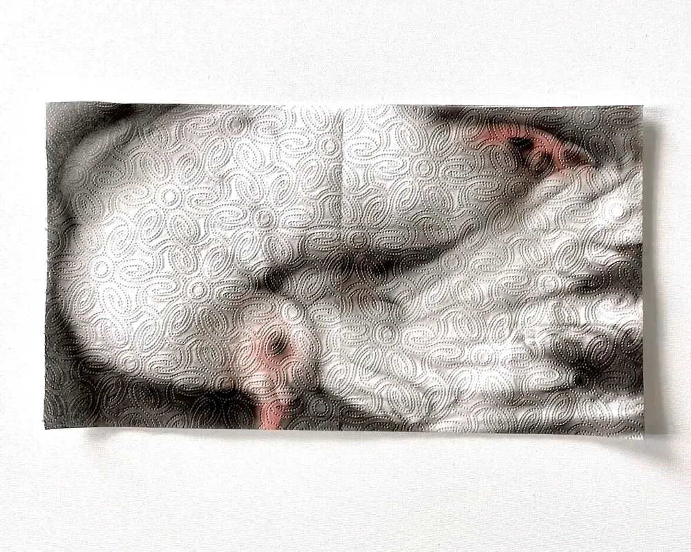 ผลงาน Freedom Disposable ของ Helena Minginowicz ภาพวาดบนกระดาษทิชชูที่มีลายนูนจากโรงงาน