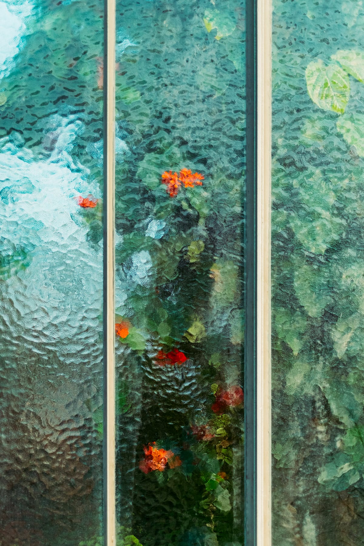 โครงเหล็กเรือนกระจกกับพืชเบลอด้านหลัง จากซีรีส์ Botanical ของ Samuel Zeller